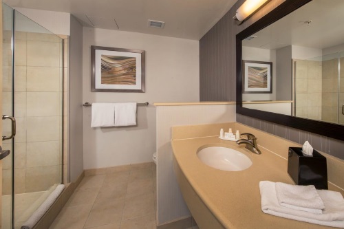 Courtyard by Marriott Washington badkamer